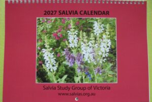 Salvia Calendar 2027